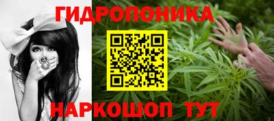 хмурый Тара