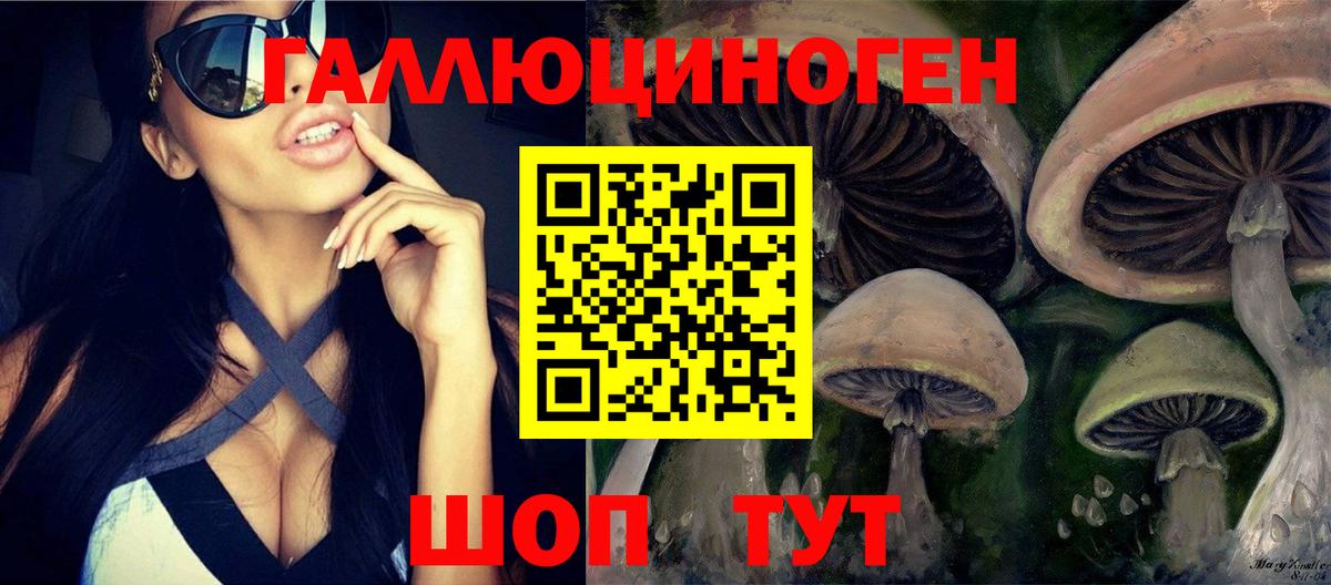 Галлюциногенные грибы Cubensis  Вход с VPN  Орск 