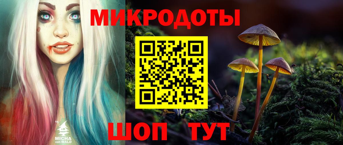 Псилоцибиновые грибы GOLDEN TEACHER Орск