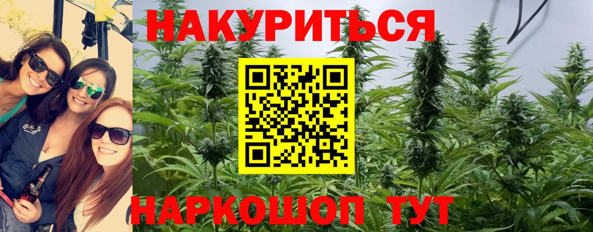 Конопля Bruce Banner Орск
